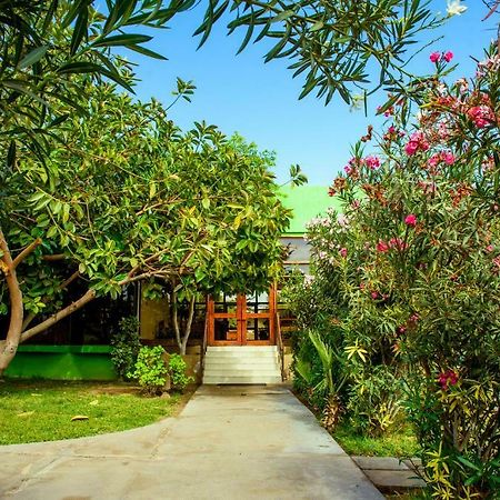Hotel Del Valle Azapa Arica Zewnętrze zdjęcie