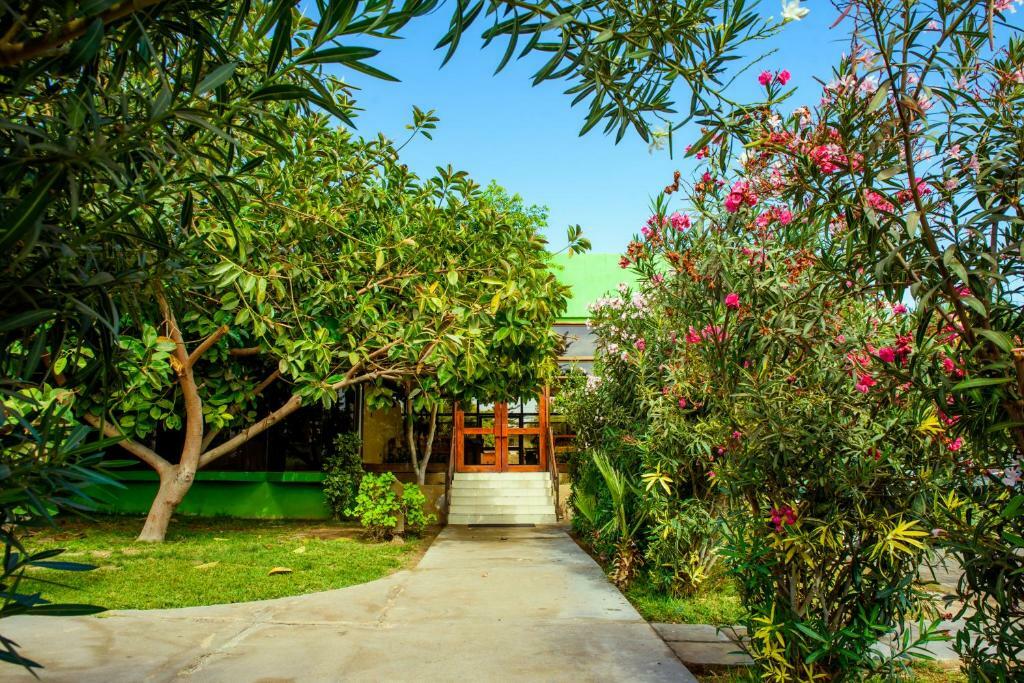Hotel Del Valle Azapa Arica Zewnętrze zdjęcie